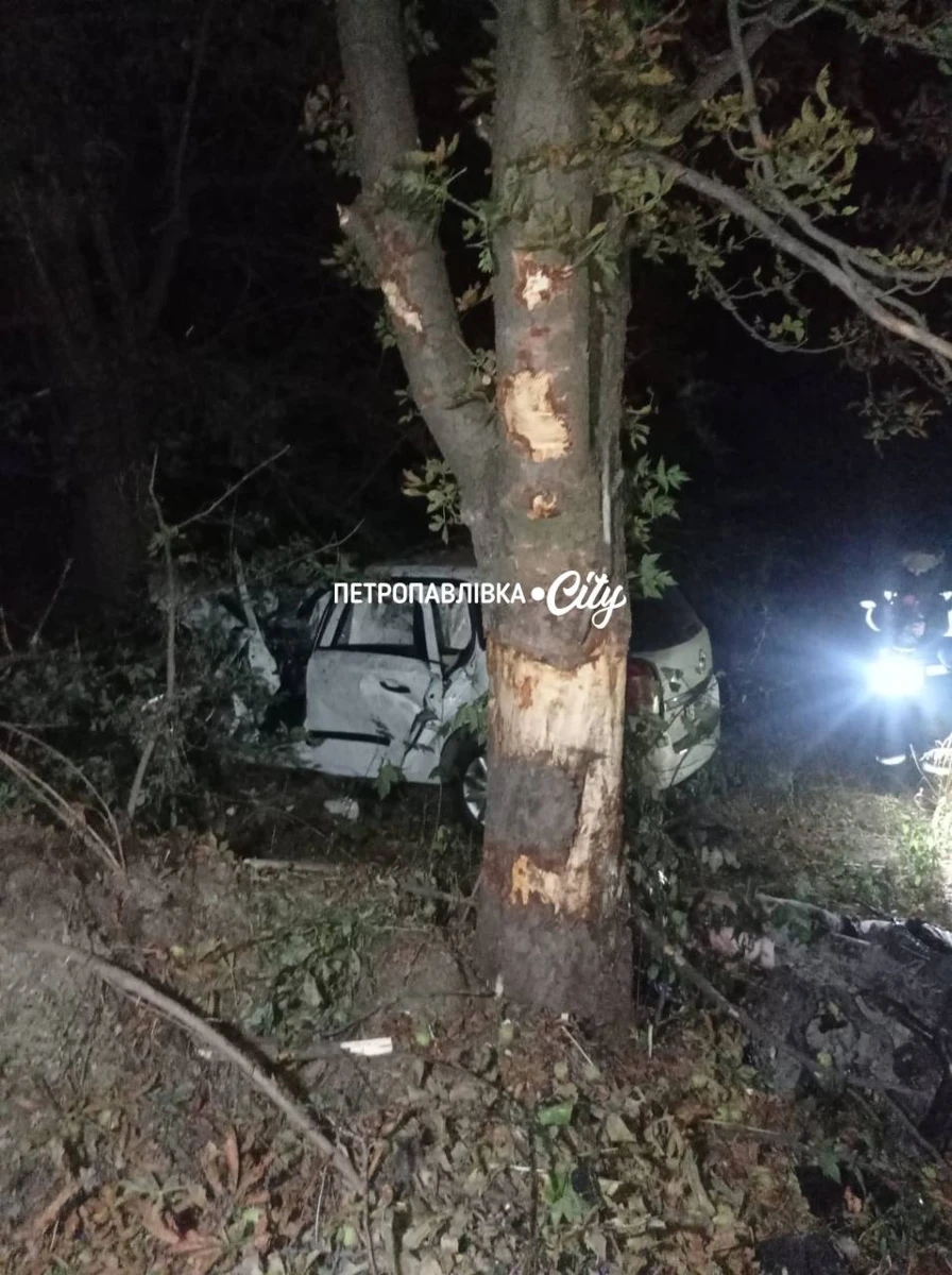 У Петропавлівці 20-річний водій загинув у ДТП