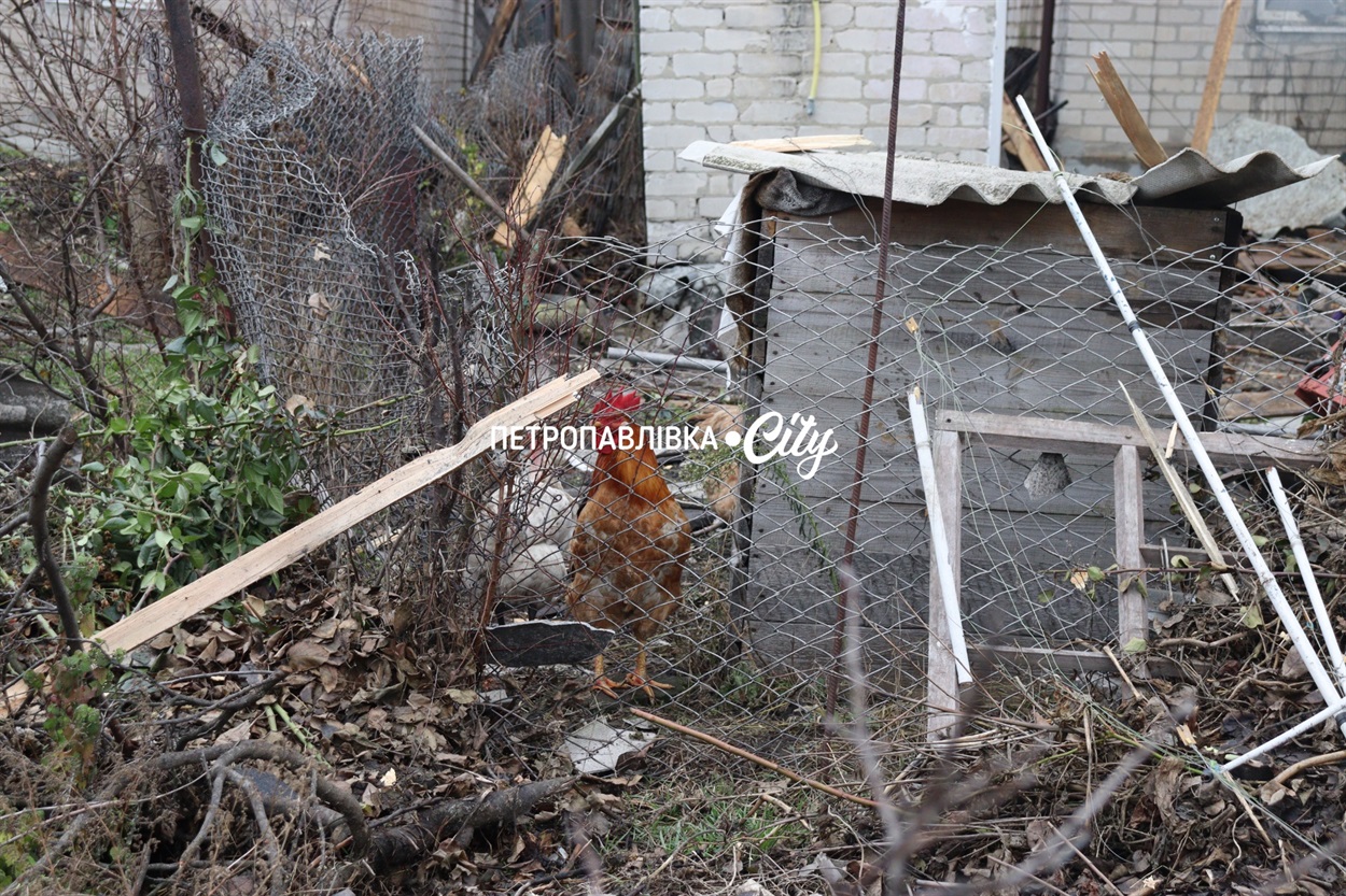 Шахед повернувся на світанку: у Петропавлівці розбиті будинки місцевих жителів (ВІДЕО)