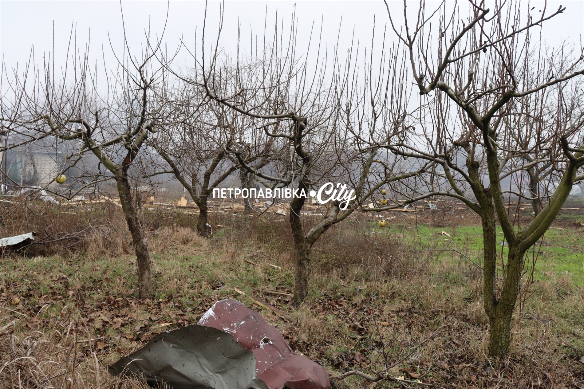 Шахед повернувся на світанку: у Петропавлівці розбиті будинки місцевих жителів (ВІДЕО)