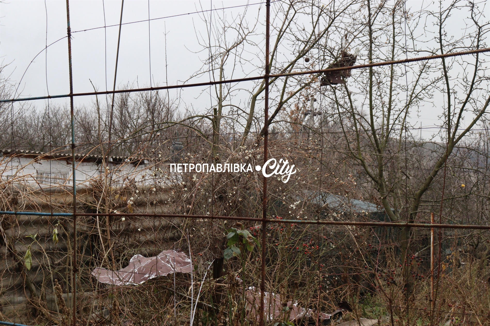 Шахед повернувся на світанку: у Петропавлівці розбиті будинки місцевих жителів (ВІДЕО)