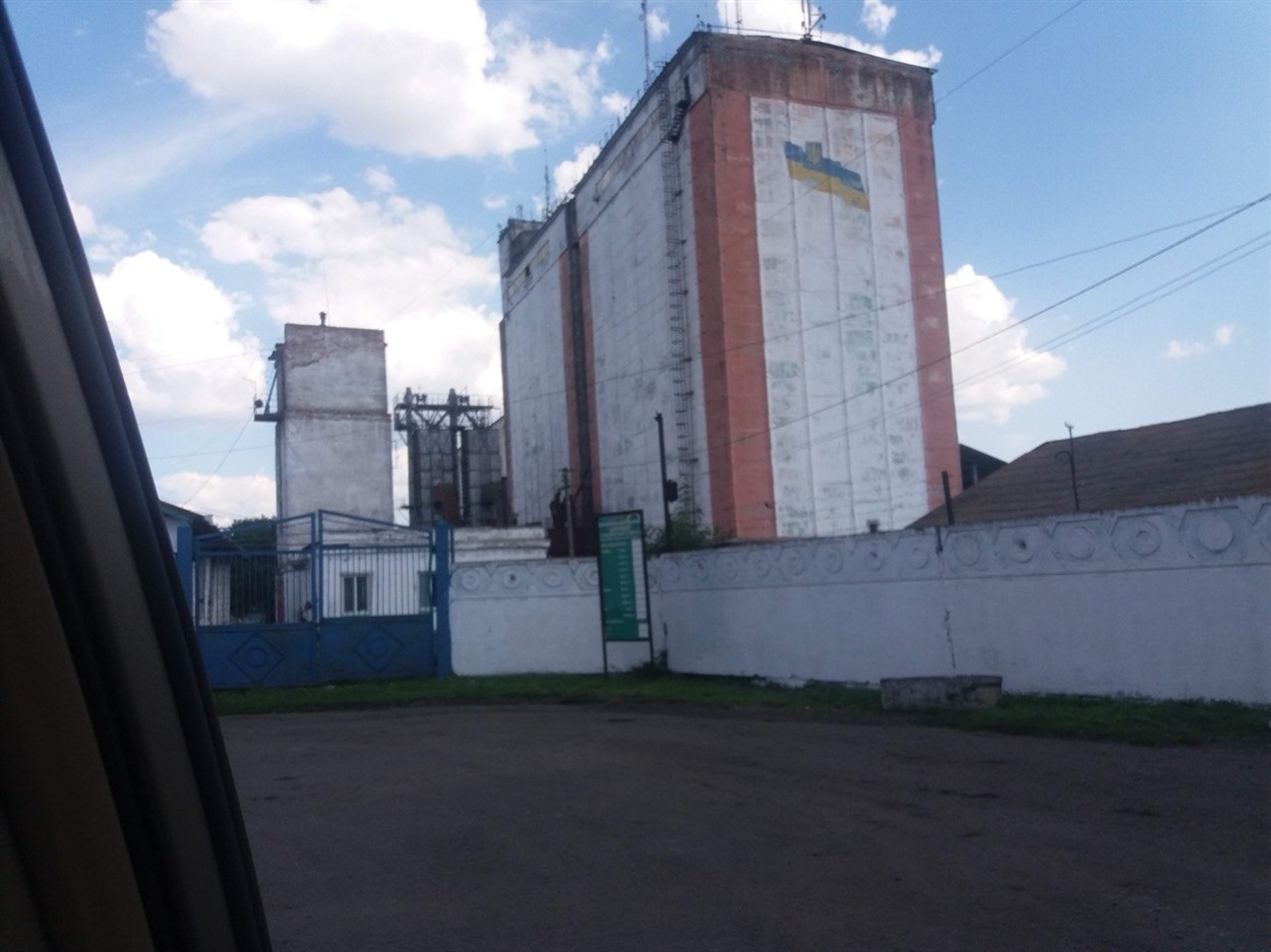 Валентина Горжій: оповідь про вибір або Клоп-черепашка