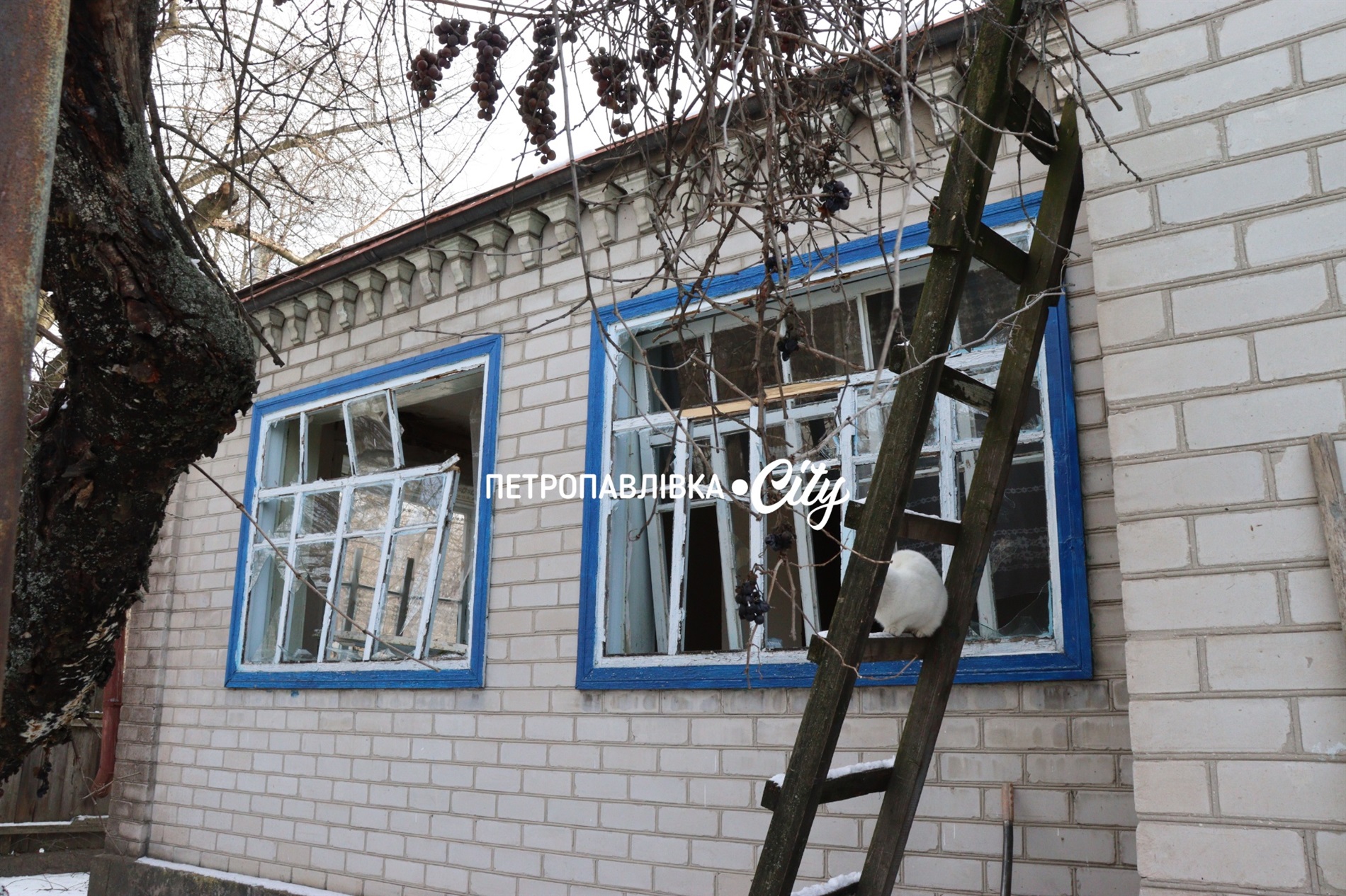 Двері вирвало, діти плакали і брата поранило: Самарське після ракетного удару (ВІДЕО)