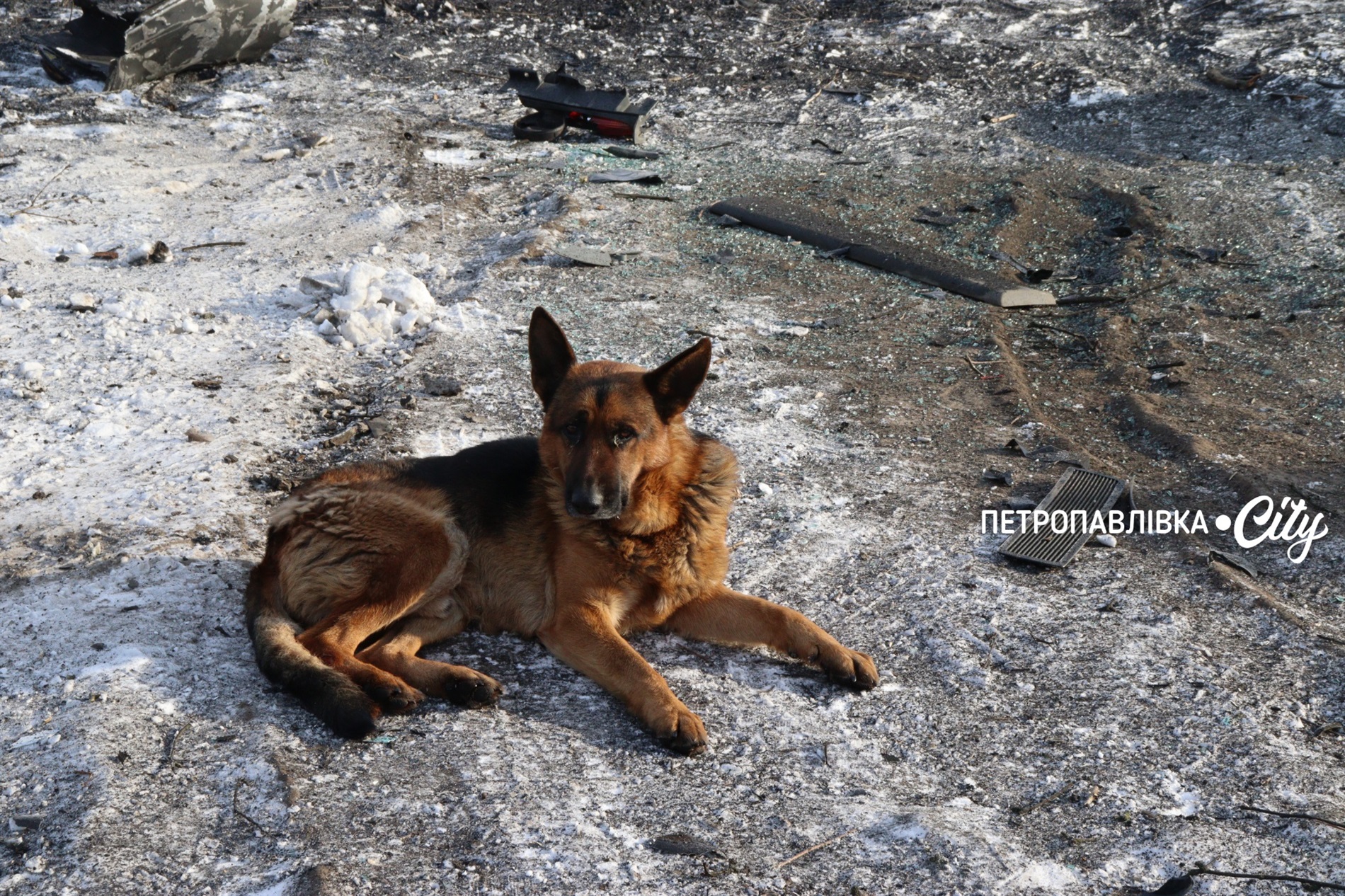 Двері вирвало, діти плакали і брата поранило: Самарське після ракетного удару (ВІДЕО)
