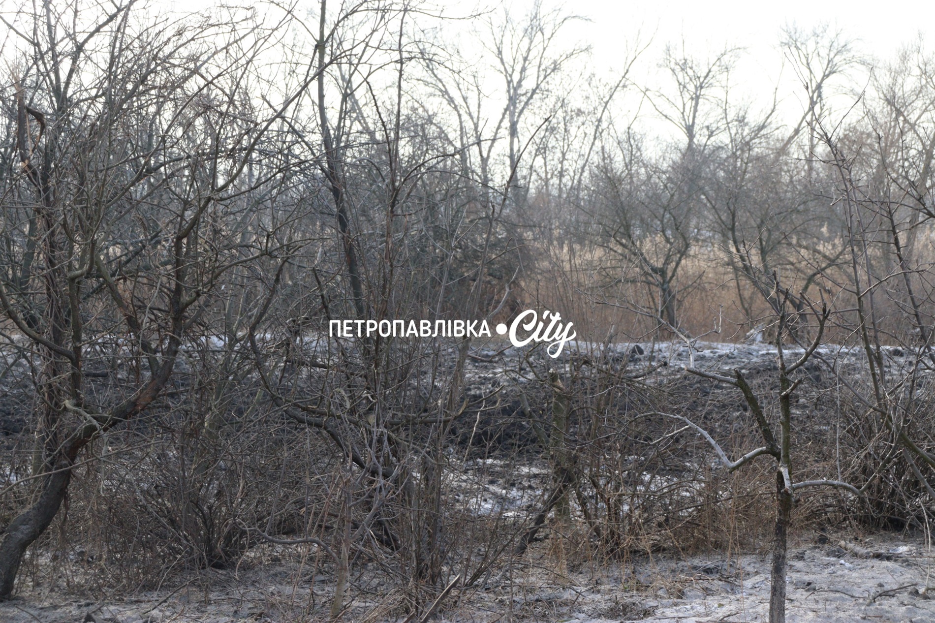 Двері вирвало, діти плакали і брата поранило: Самарське після ракетного удару (ВІДЕО)