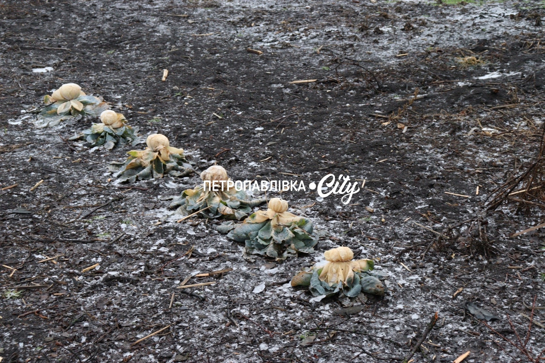 Ніч у Петропавлівці, коли небо гуділо загрозою, та день, коли дім зник за одну мить (ВІДЕО)