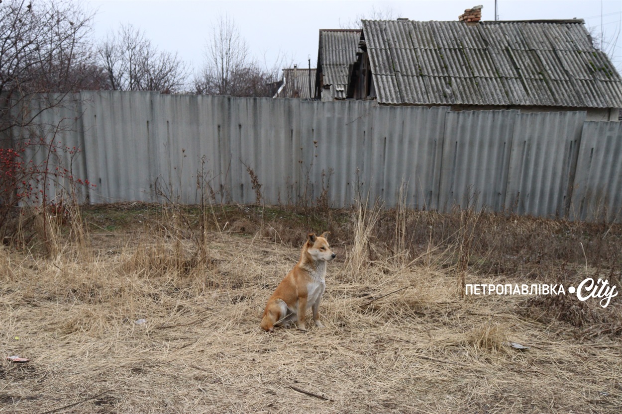 Життя на межі: як живуть у прифронтових селах Донеччини (ВІДЕО)