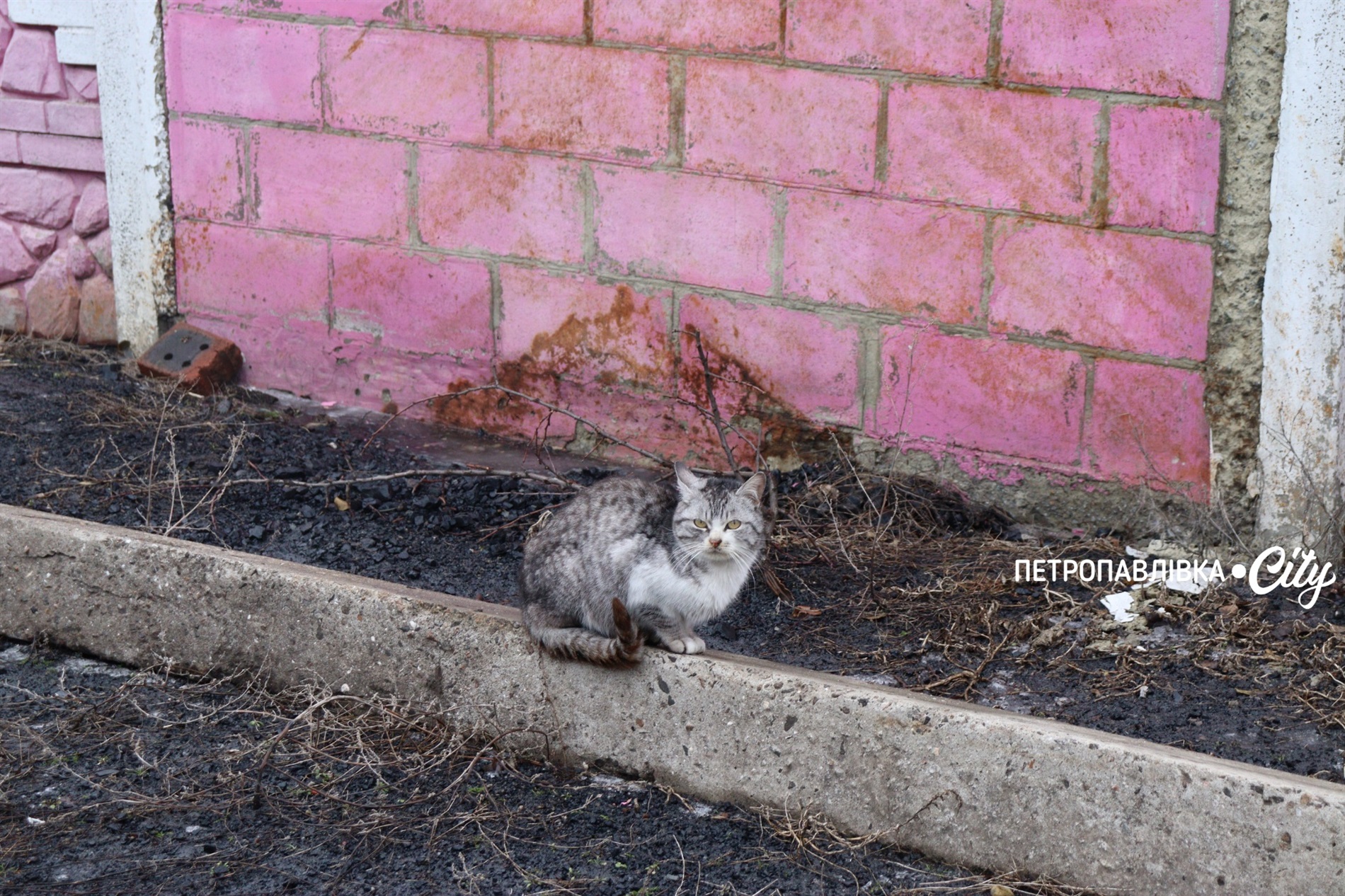 Життя на межі: як живуть у прифронтових селах Донеччини (ВІДЕО)