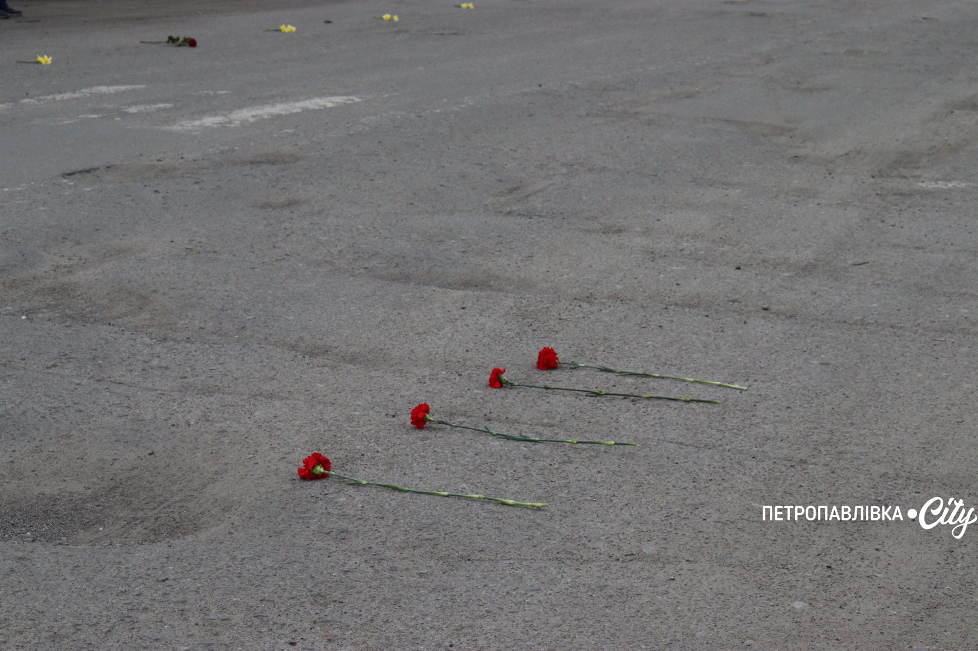 На щиті Сергій Кіяшко - Петропавлівка прощається з офіцером 24-ї бригади імені Короля Данила (ВІДЕО)