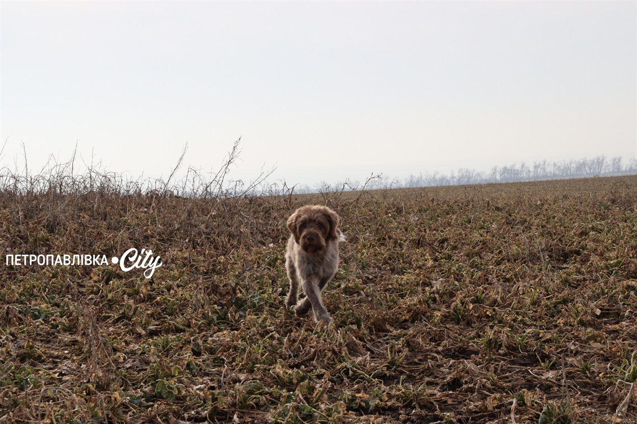 Селами Присамарського краю: у пошуках монастиря