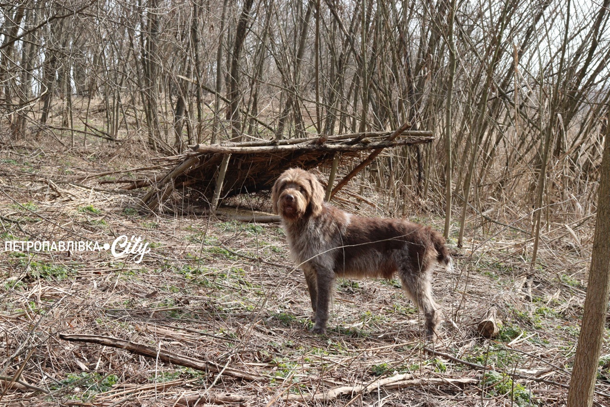 Селами Присамарського краю: у пошуках монастиря