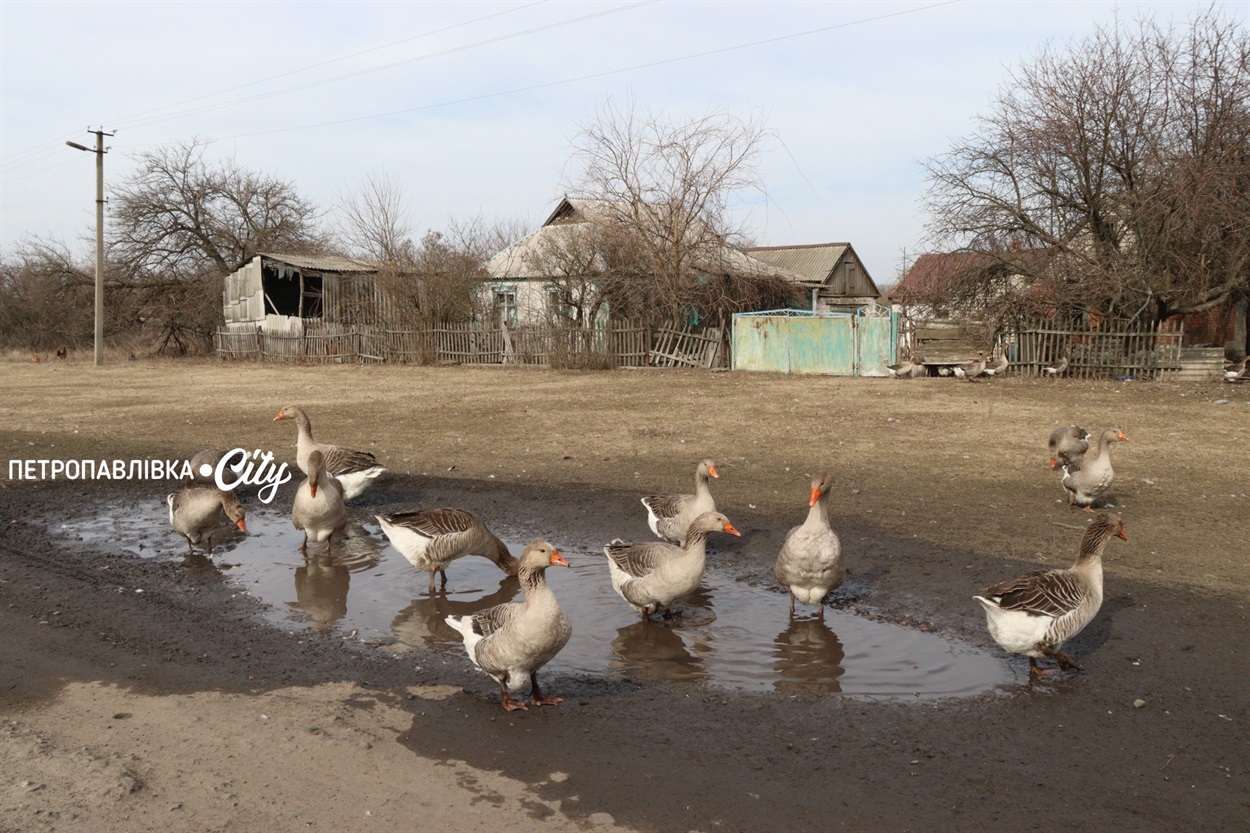 Селами Присамарського краю: у пошуках монастиря