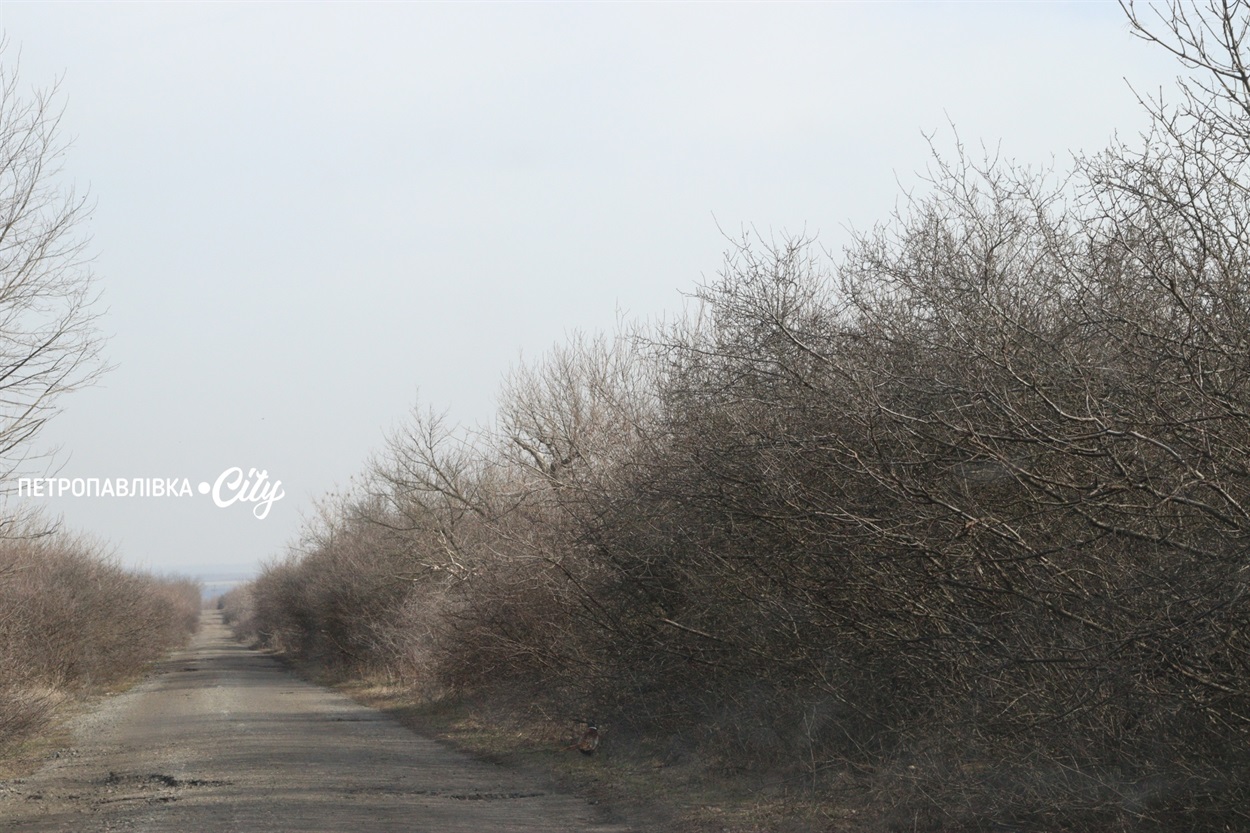 Селами Присамарського краю: у пошуках монастиря