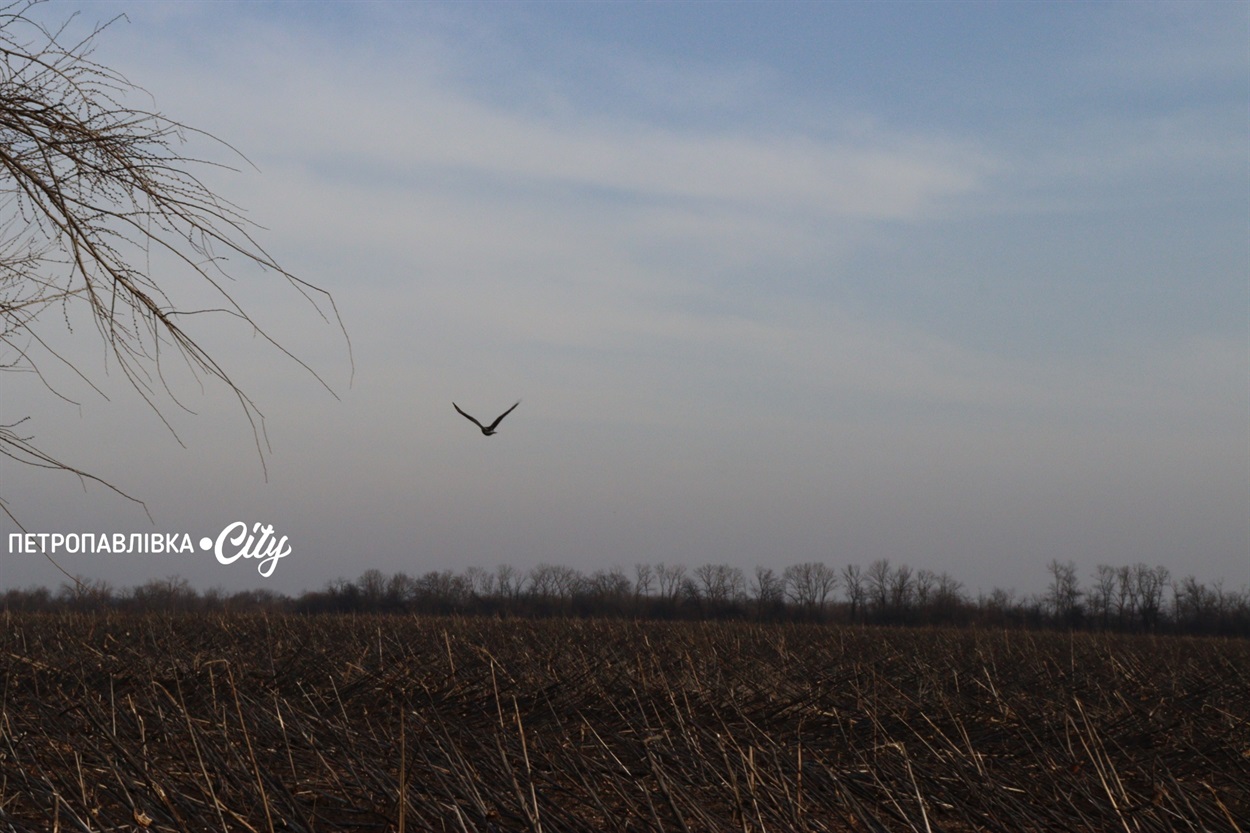 Селами Присамарського краю: у пошуках монастиря