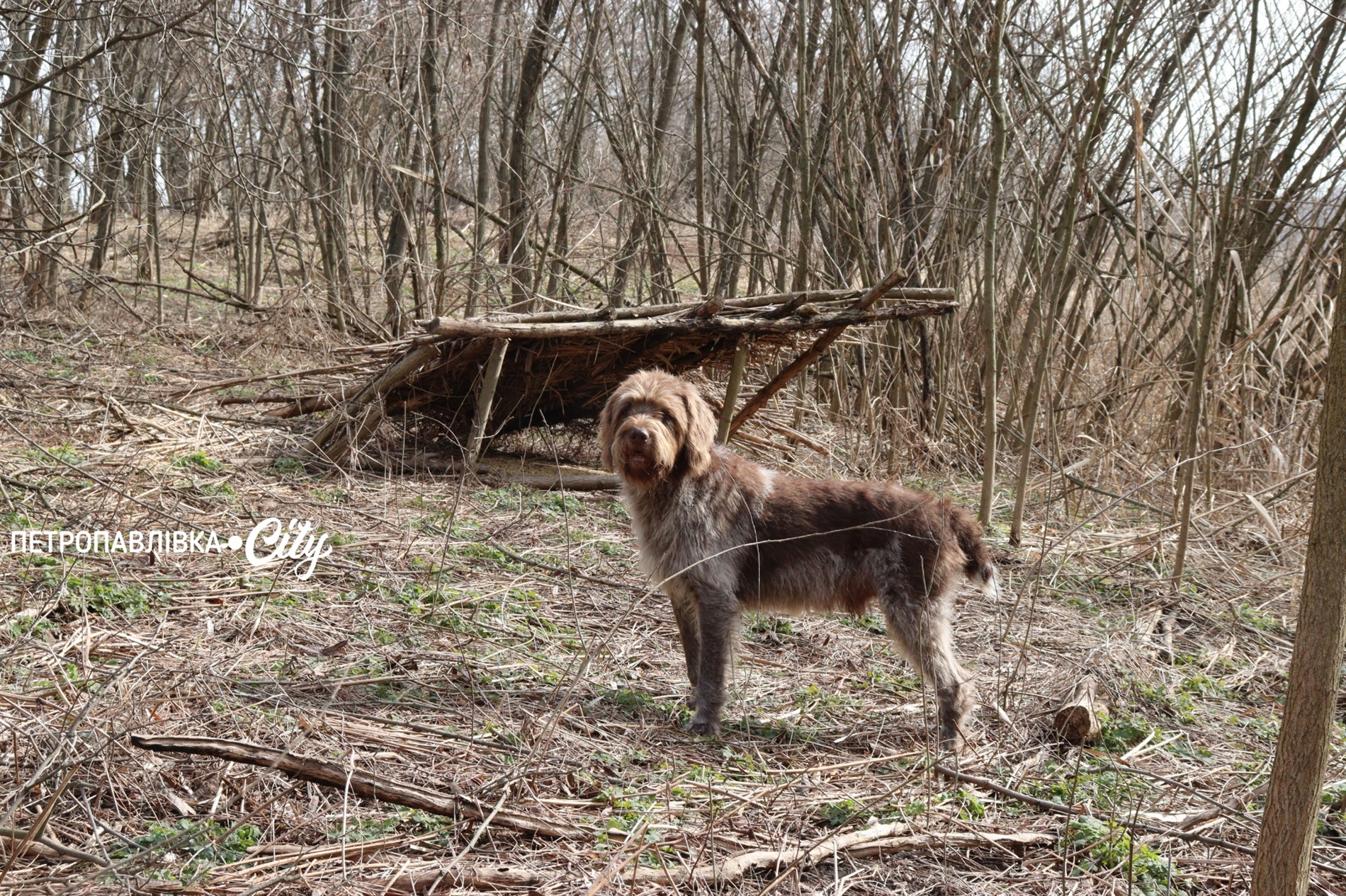 Селами Присамарського краю: у пошуках монастиря