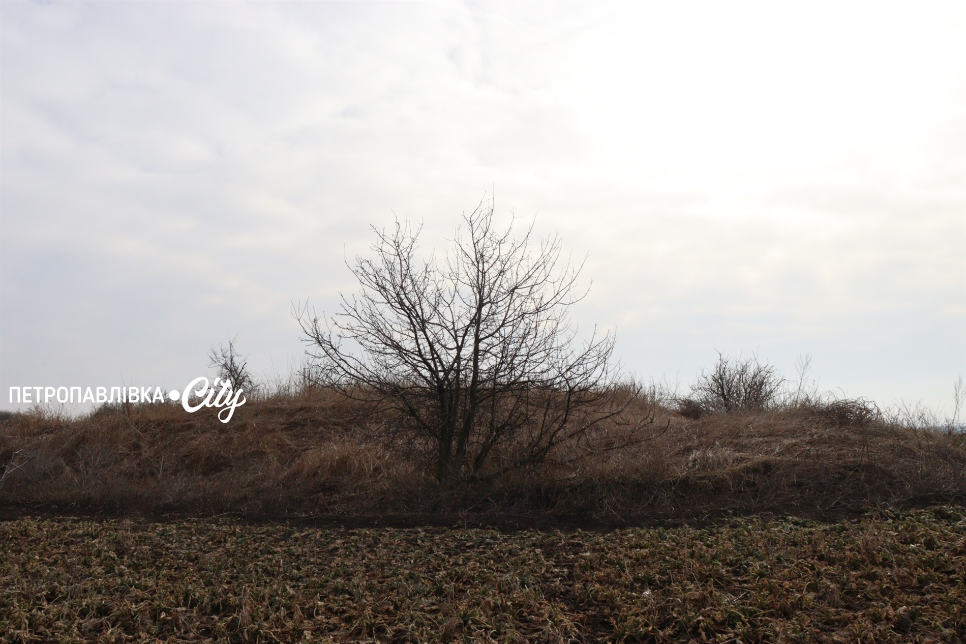 Селами Присамарського краю: у пошуках монастиря