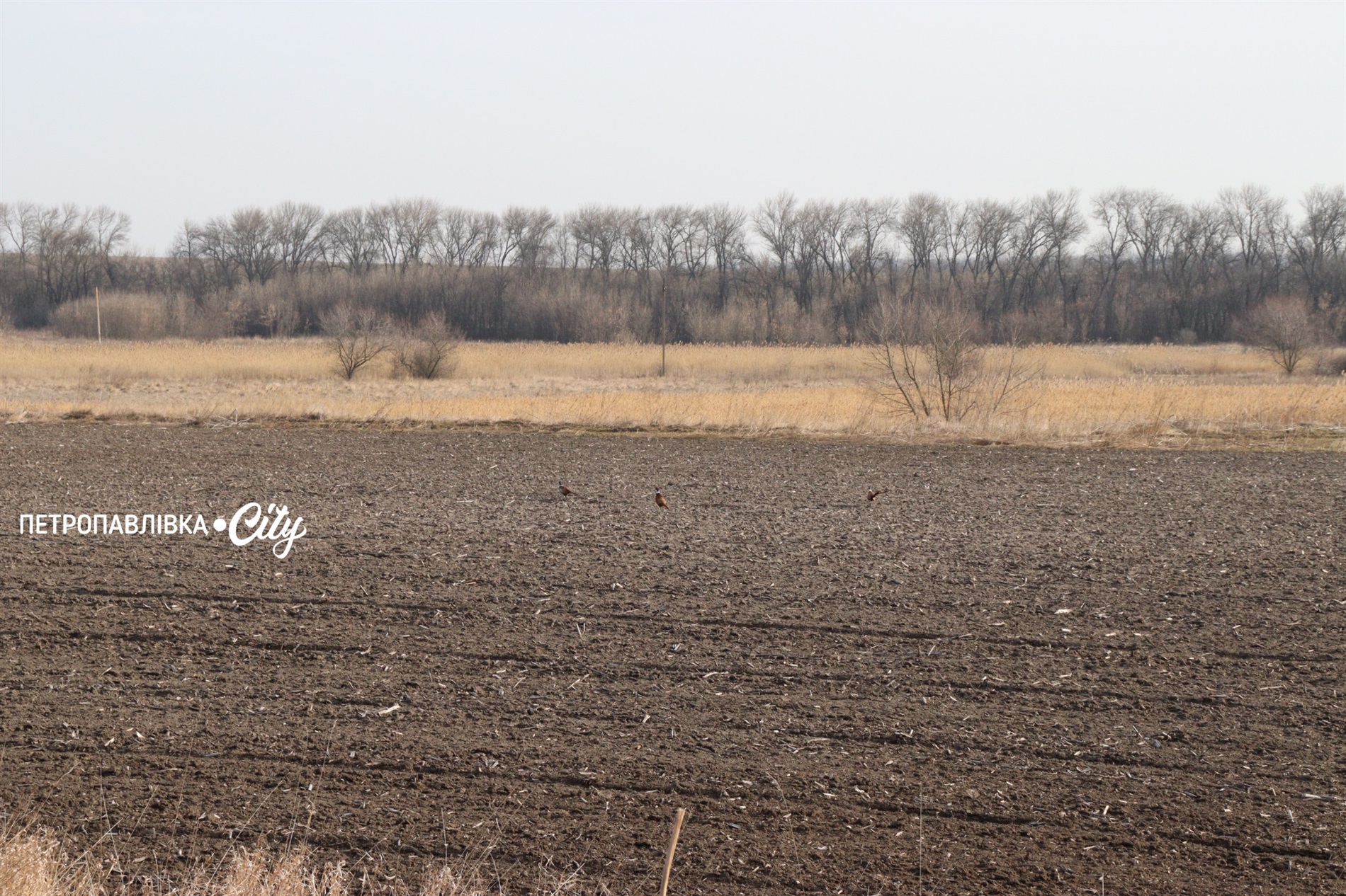 Селами Присамарського краю: у пошуках монастиря