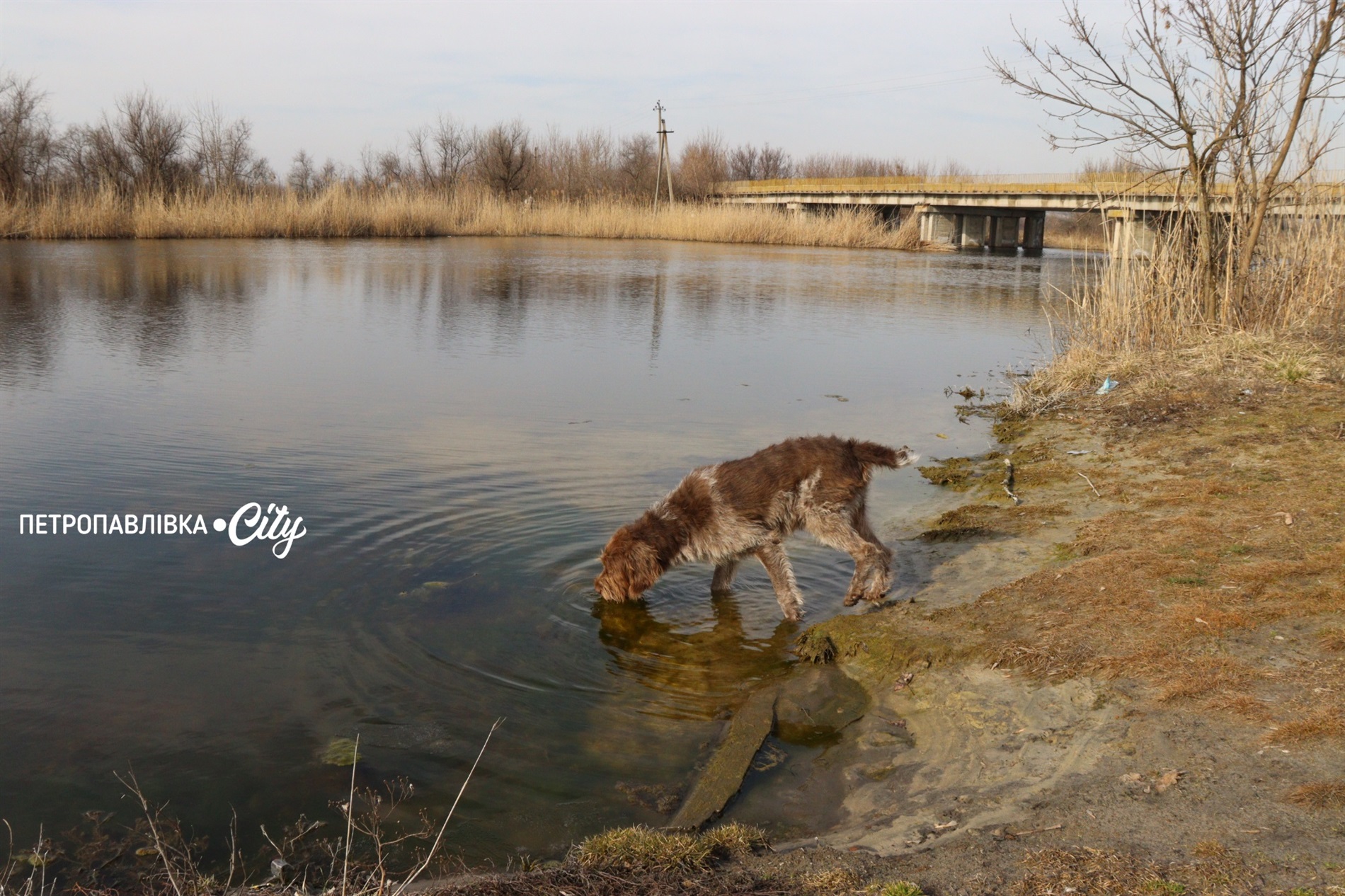 Селами Присамарського краю: у пошуках монастиря