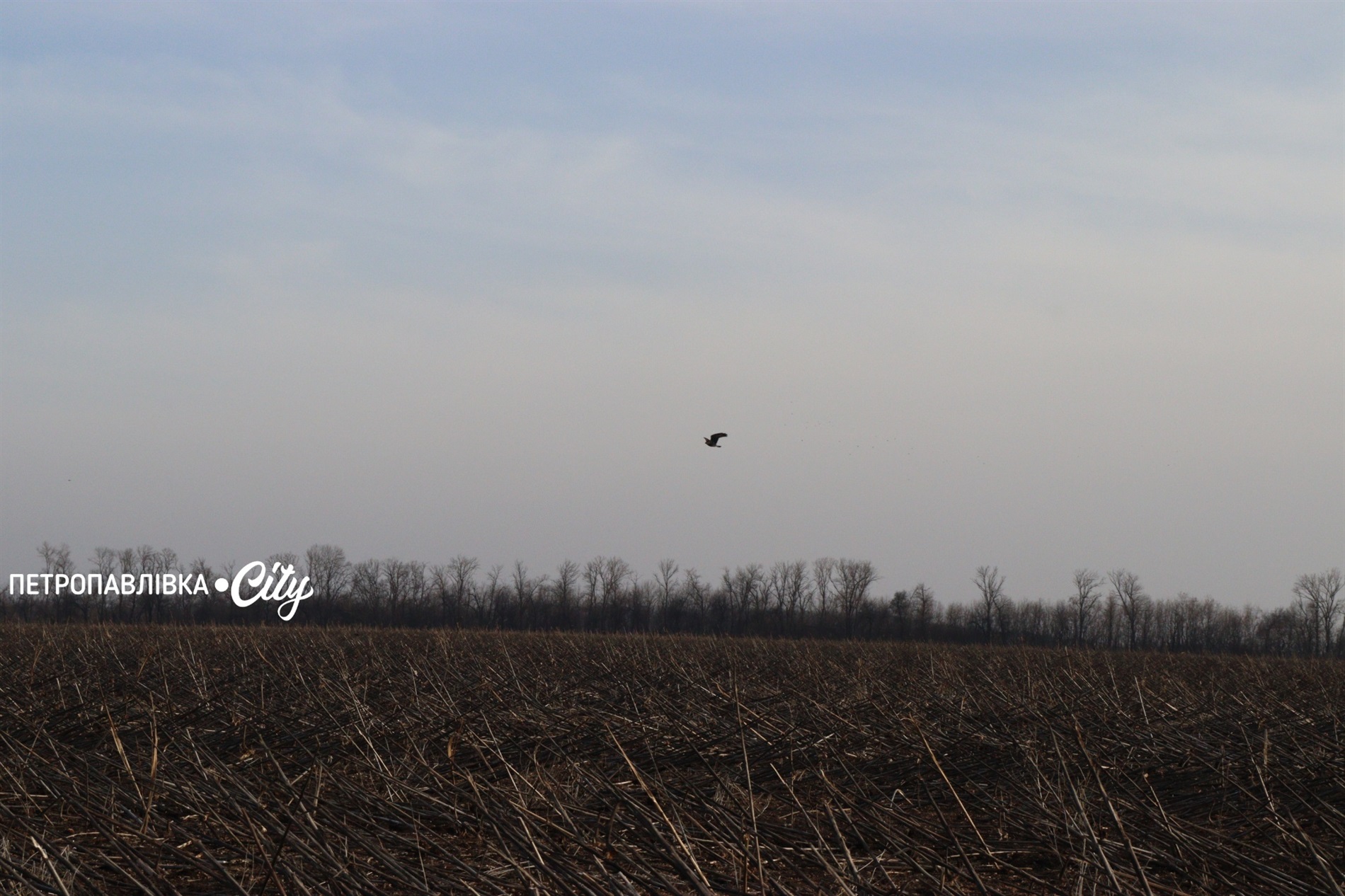 Селами Присамарського краю: у пошуках монастиря