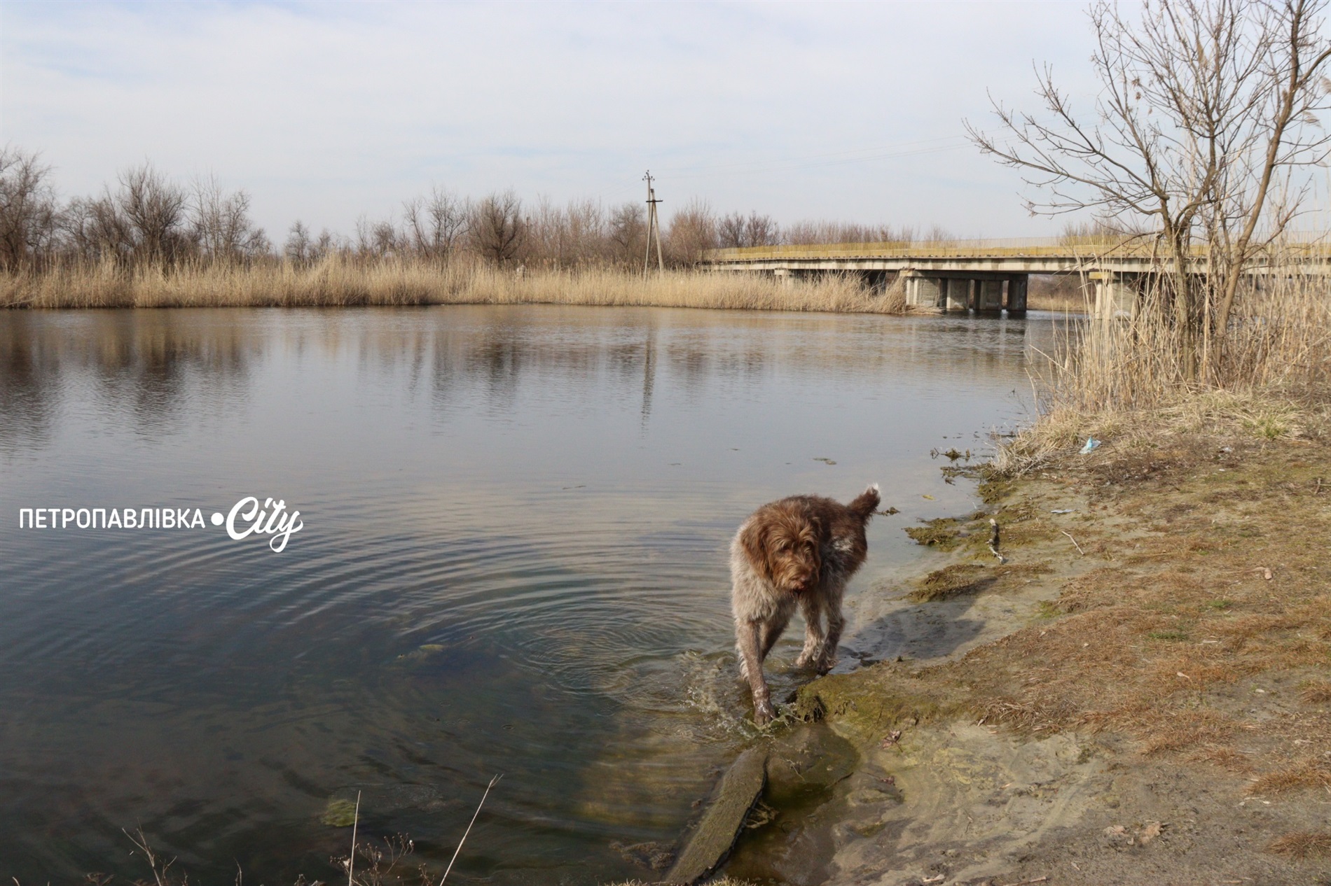 Селами Присамарського краю: у пошуках монастиря