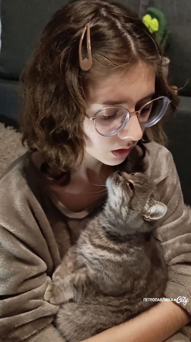 165 днів розлуки: у Петропавлівці знайшлася кішка Нюша, яку шукали понад п’ять місяців