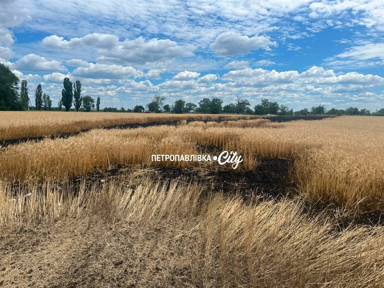 Ворожі безпілотники атакували Петропавлівку, Самарське, Троїцьке та Зелений Гай