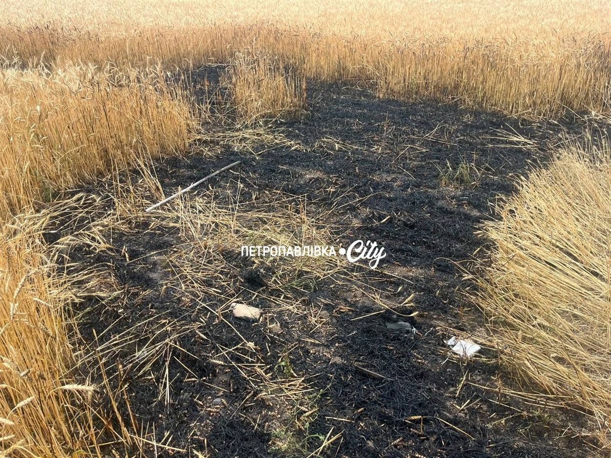Ворожі безпілотники атакували Петропавлівку, Самарське, Троїцьке та Зелений Гай