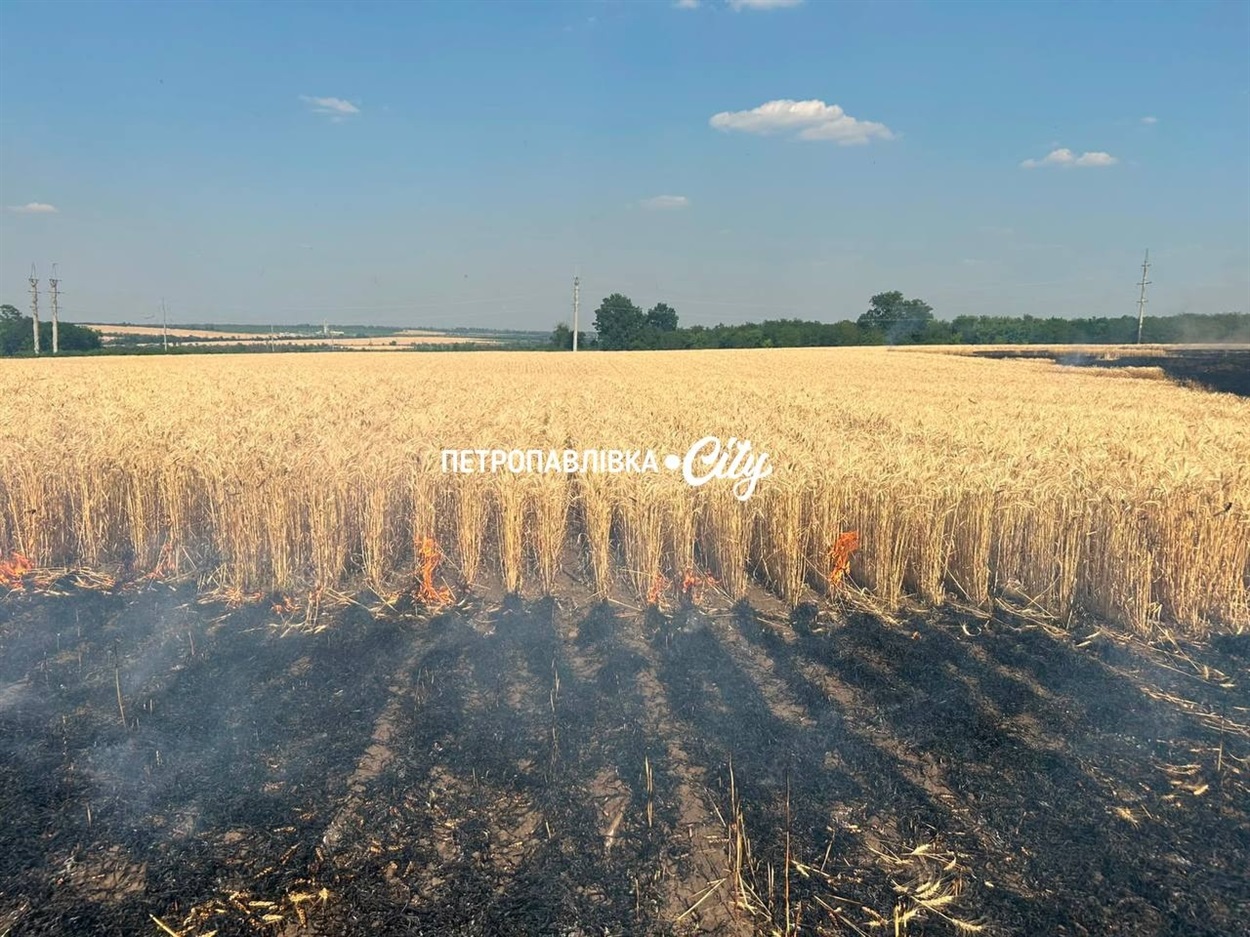 Два удари «Молнією» за добу: у Петропавлівці згоріло 107 гектарів пшениці